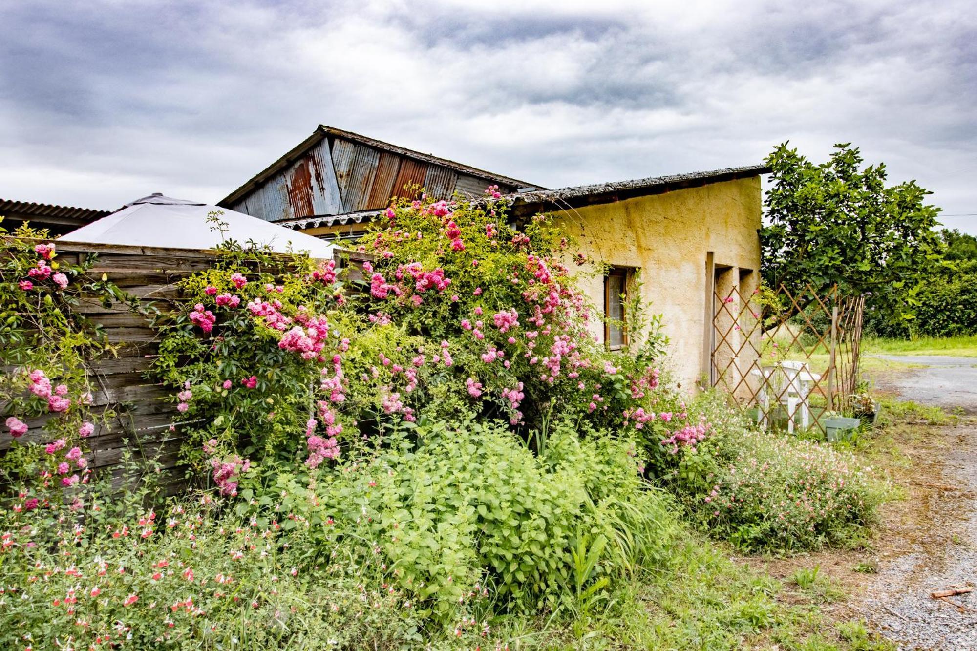 Loft Et Appartement A La Campagne Saint-Cyprien  Exteriör bild